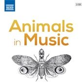 Titulo: ANIMALS IN MUSIC